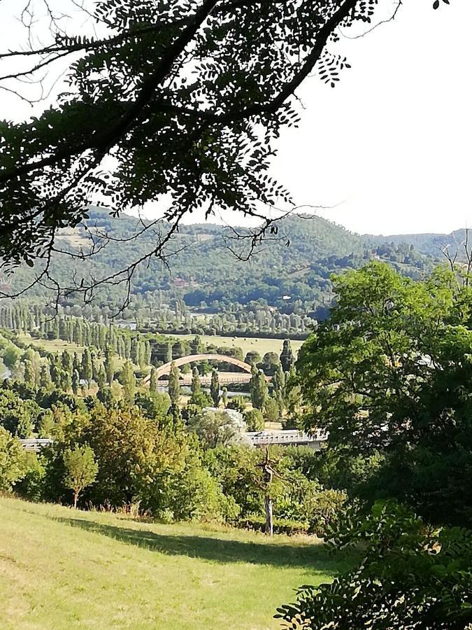 Il Lago Del Mugello B&B Barberino di Mugello Dış mekan fotoğraf