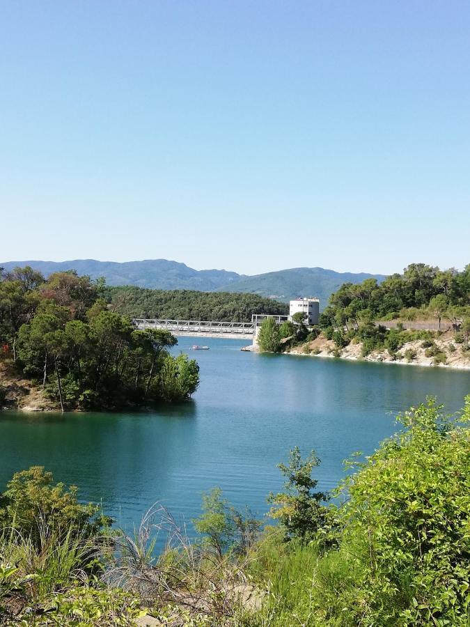 Il Lago Del Mugello B&B Barberino di Mugello Dış mekan fotoğraf