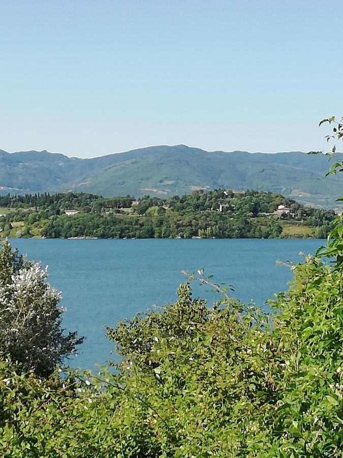Il Lago Del Mugello B&B Barberino di Mugello Dış mekan fotoğraf