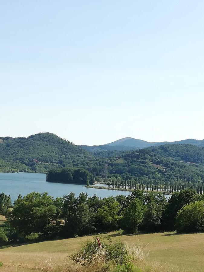 Il Lago Del Mugello B&B Barberino di Mugello Dış mekan fotoğraf